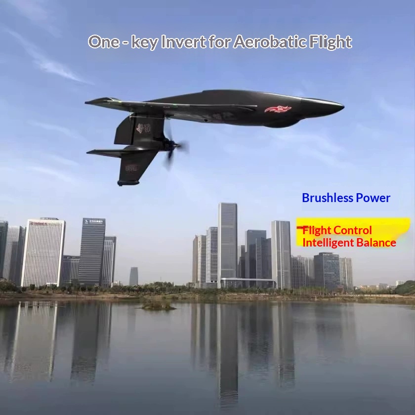 Rc Wing Glider - 6-канальный радиоуправляемый самолет H650 Raptor с